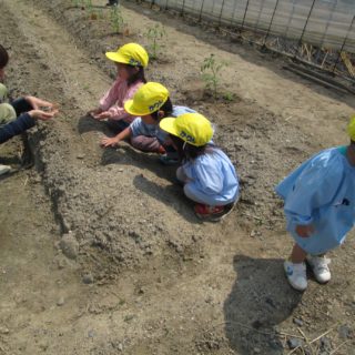 5月の様子