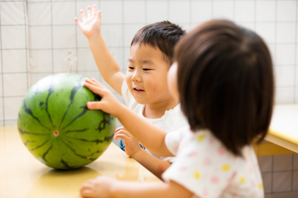 保育所すいれん　保育所かりん