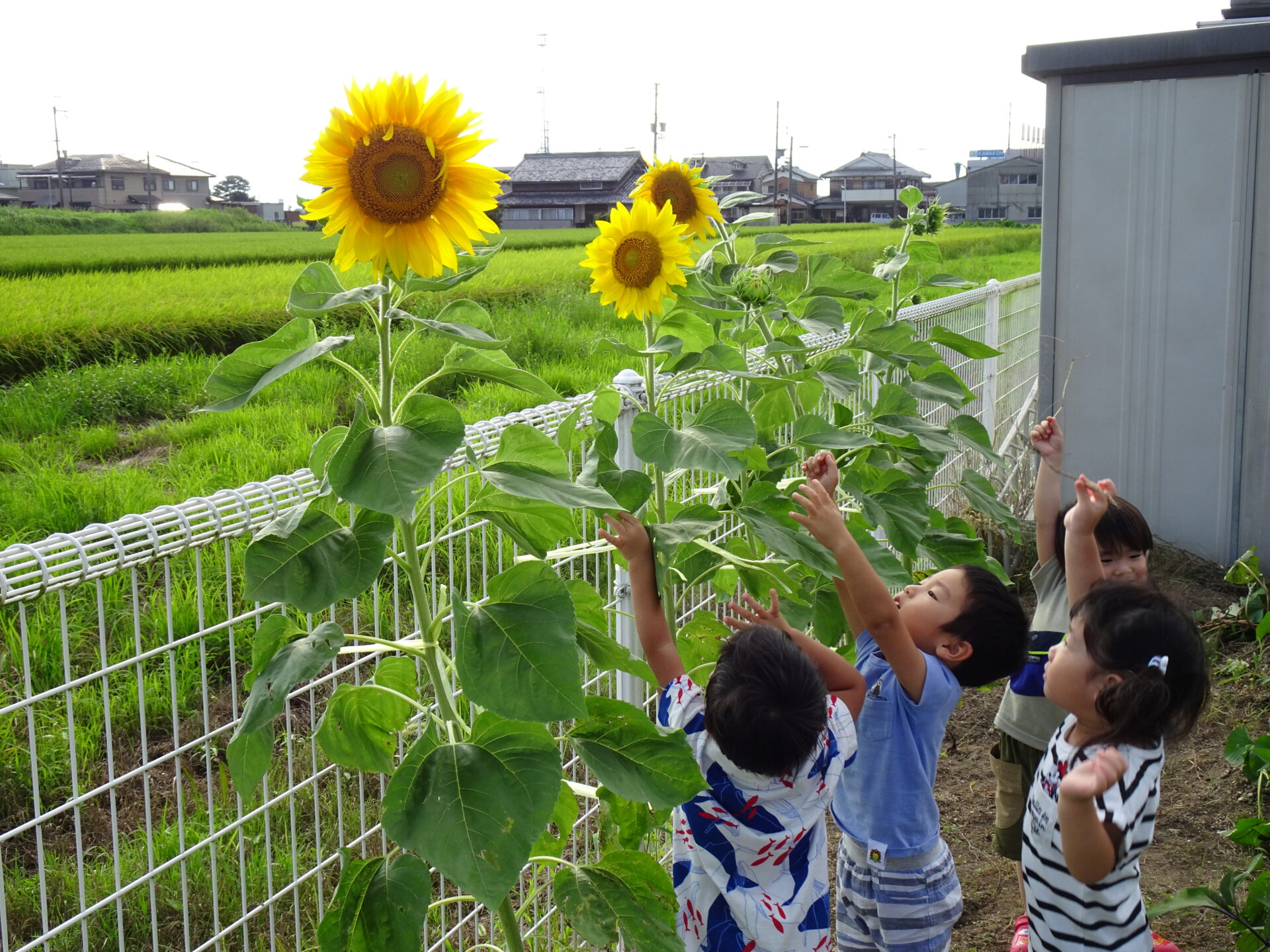 秋の気配を感じるようになりました