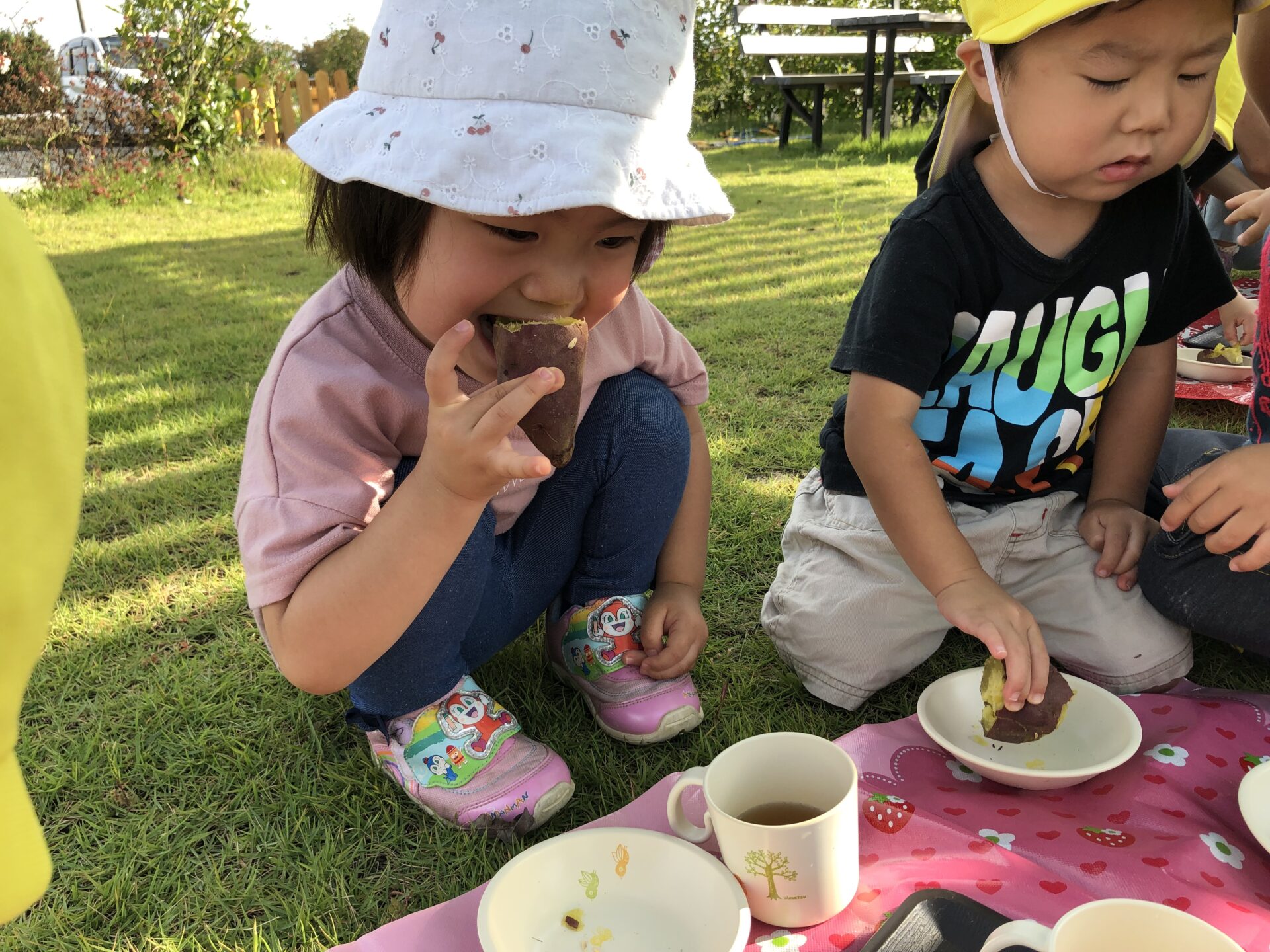 焼き芋しました。