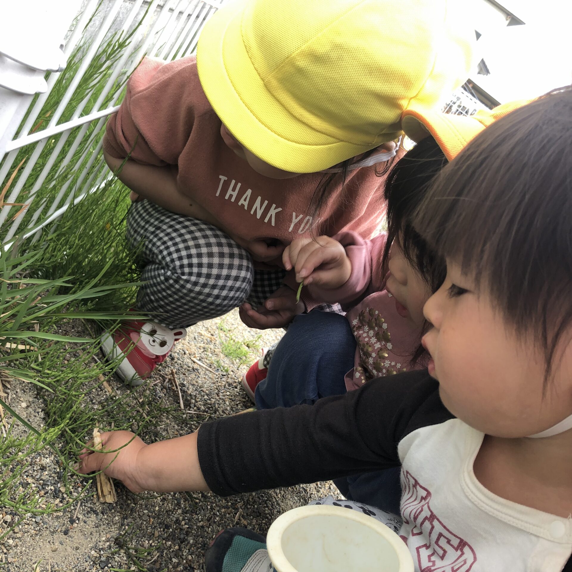 新年度始まって3週間が経ちました