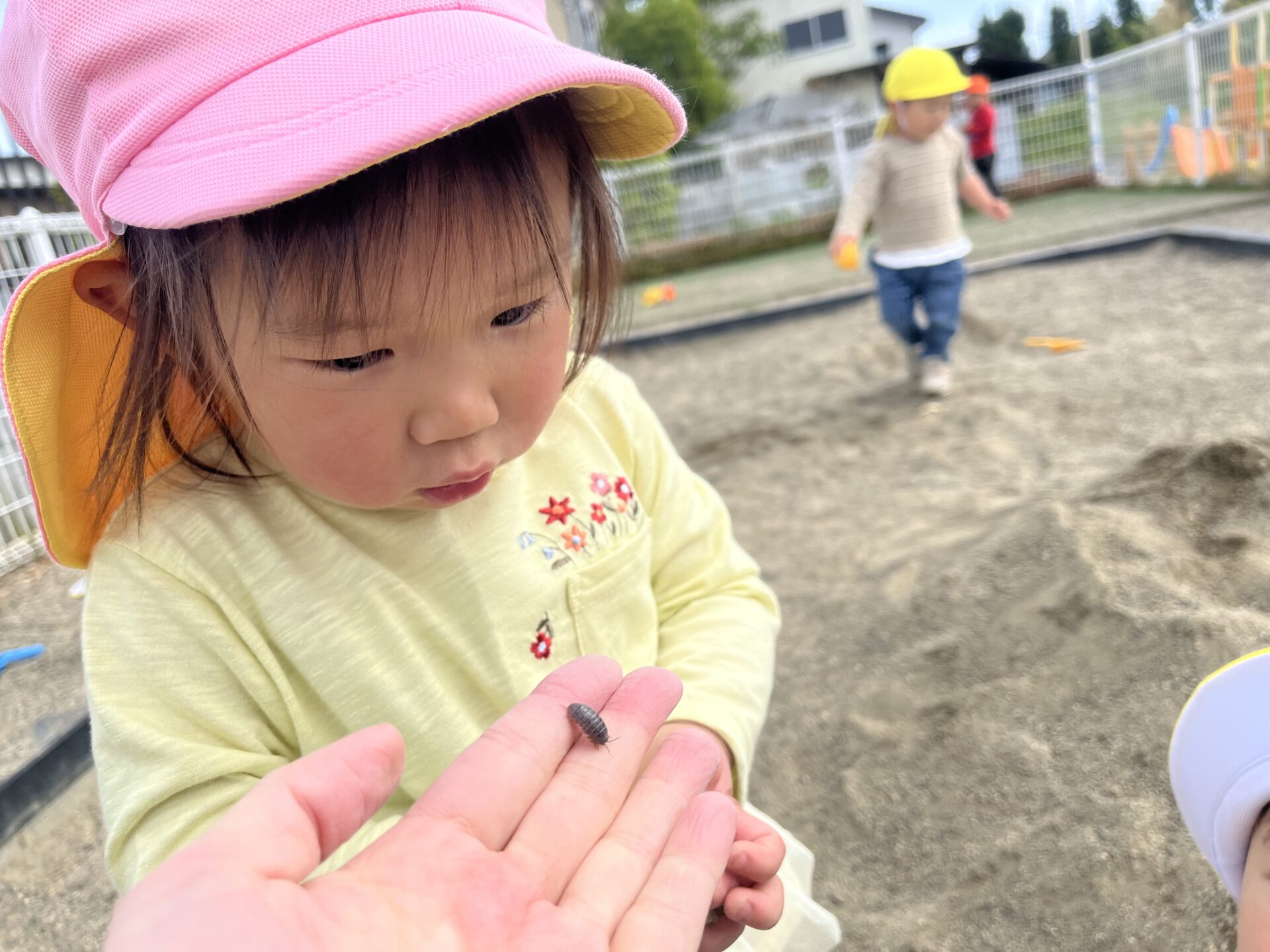 5月の様子