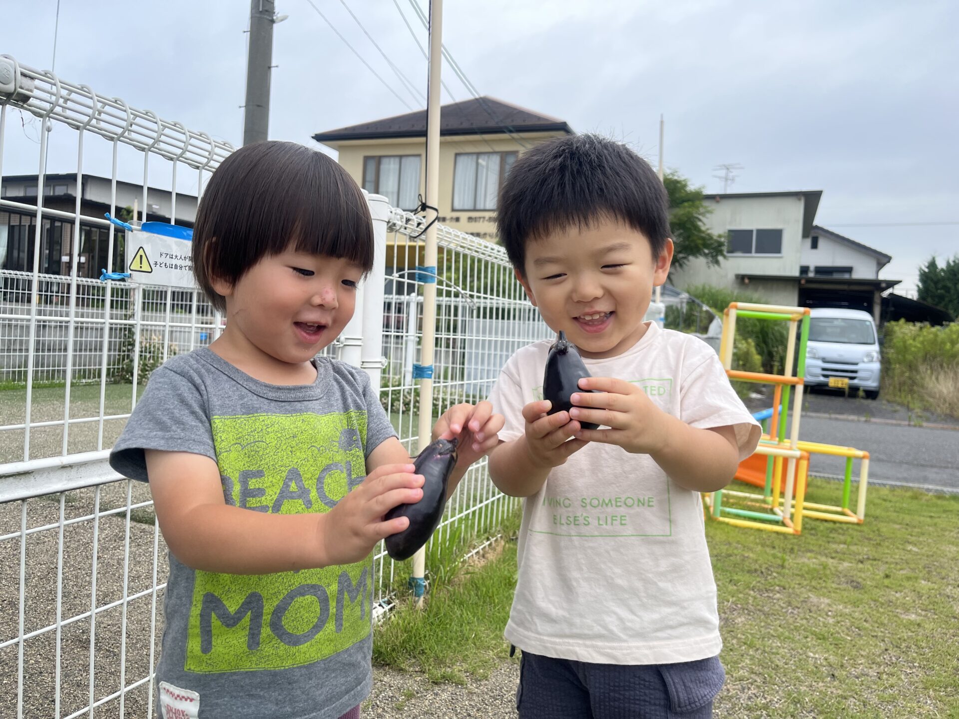 7月の様子①　夏野菜の収穫