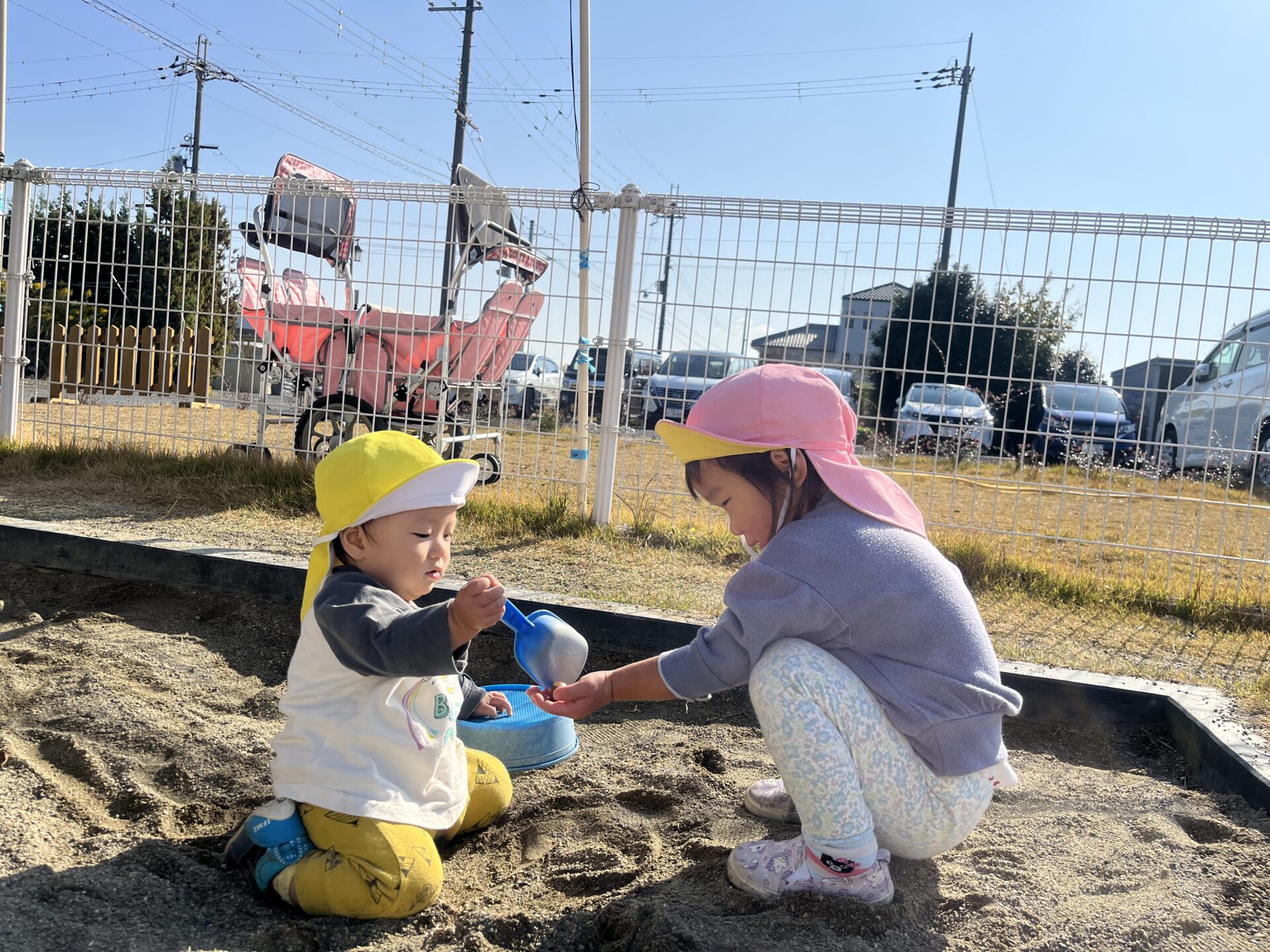 11月の様子　園庭